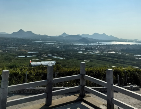 平度大澤山葡萄園引進(jìn)萊恩德土壤肥料檢測(cè)儀， 輕松掌握土壤營養(yǎng)